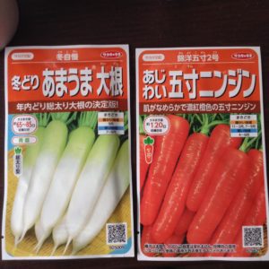 「あまうま大根」「五寸ニンジン」2018年野菜栽培日記―土づくり～種まき編