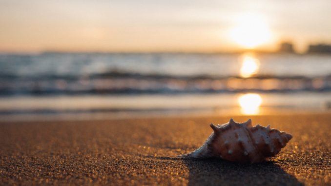 Free-Photos / Pixabay