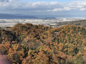 大阪・交野市「府民の森ほしだ園地」自然公園で自然を感じながら自然の中を散策する